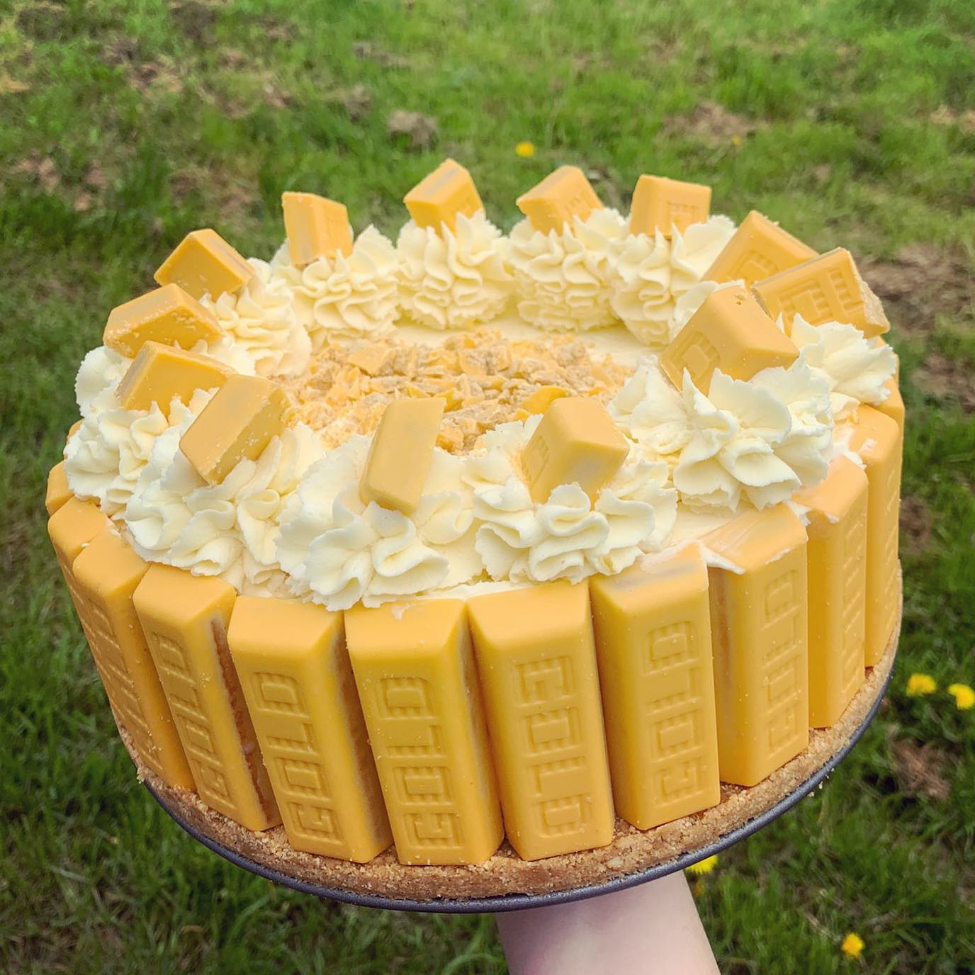 Gold Bar Cheesecake Slice