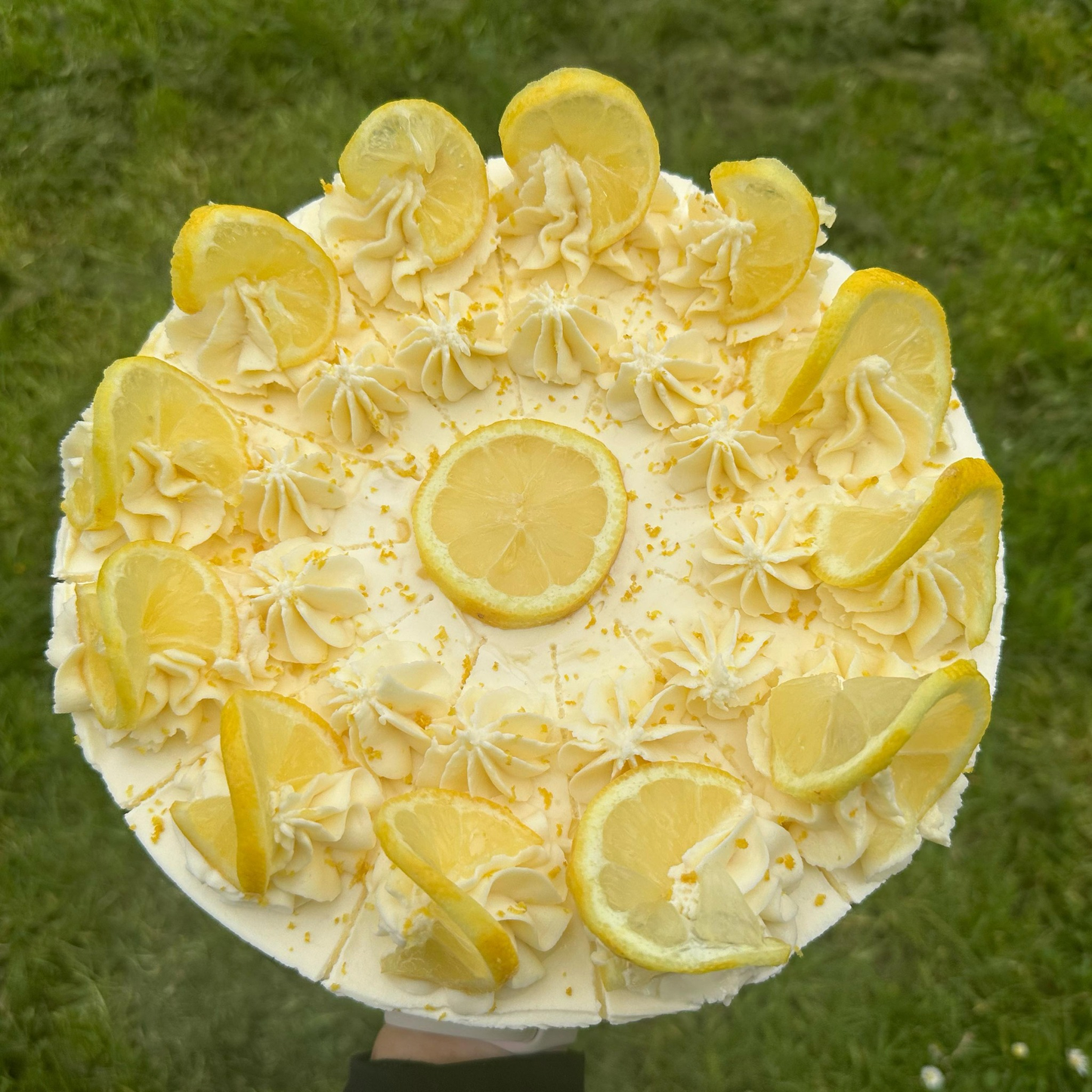Lemon Cheesecake Slice